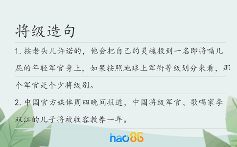 将级造句