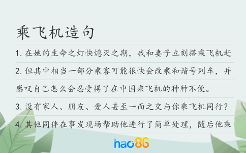 乘飞机造句