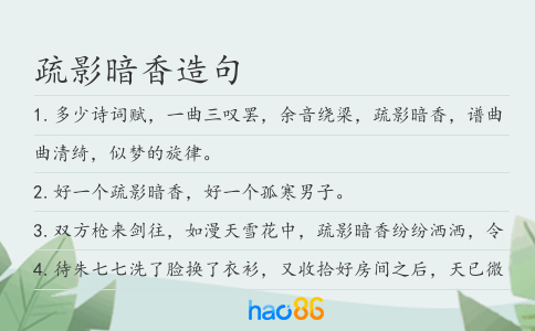 疏影暗香造句