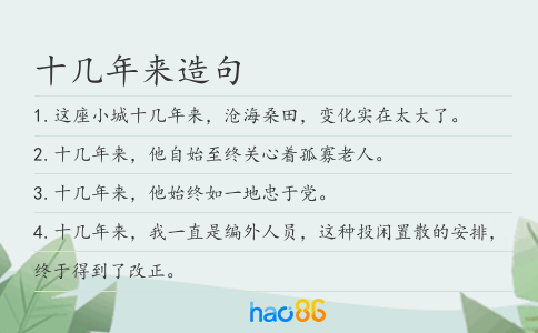 十几年来造句