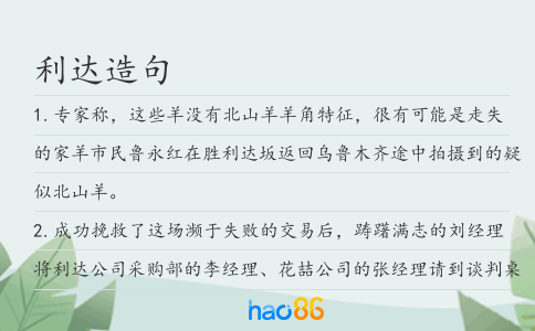 利达造句