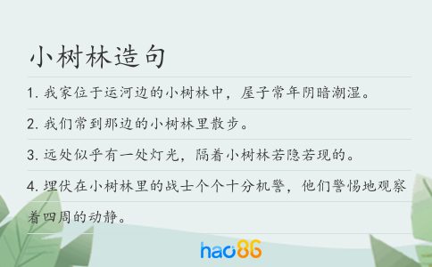 小树林造句