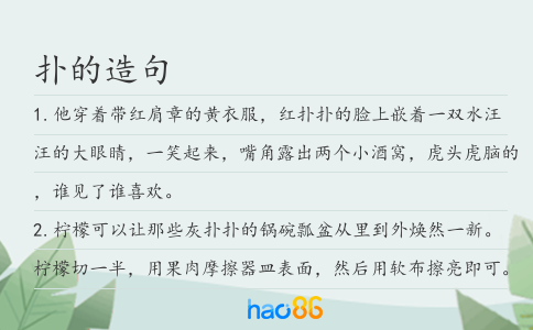扑的造句