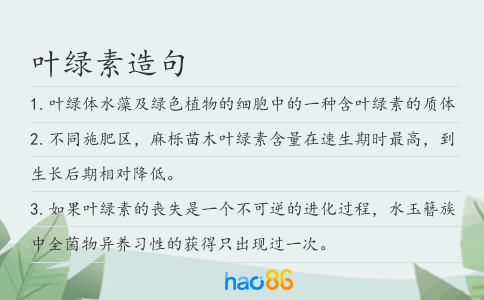 叶绿素造句