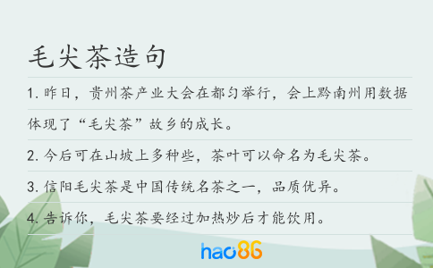 毛尖茶造句