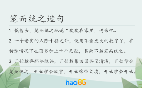 笼而统之造句