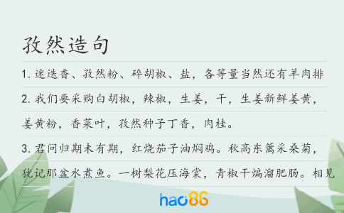 孜然造句