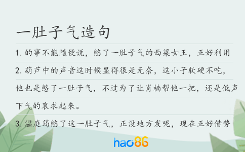 一肚子气造句