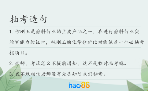 抽考造句