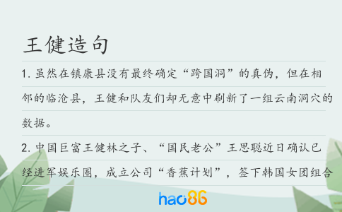 王健造句