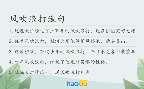 风吹浪打造句