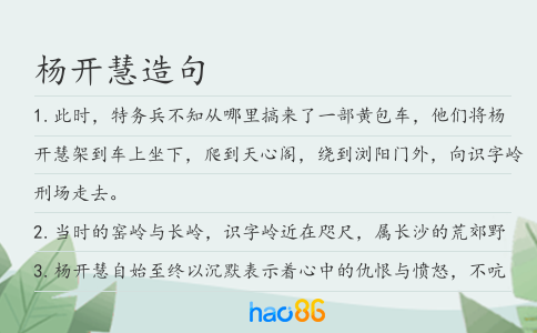 杨开慧造句