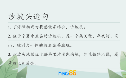 沙坡头造句