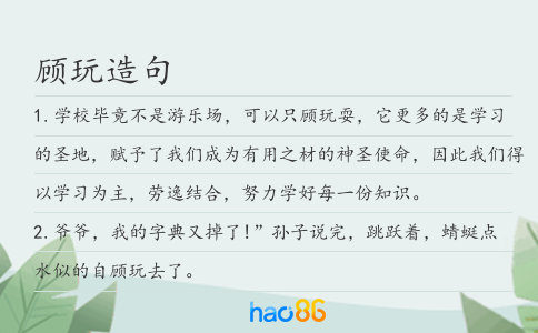 顾玩造句