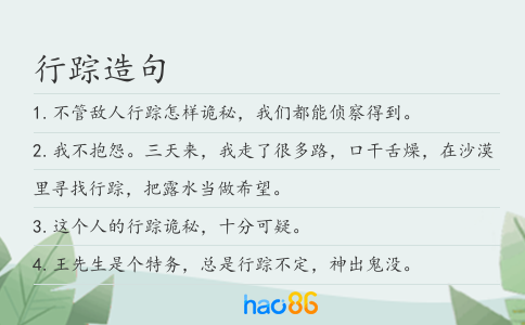 行踪造句