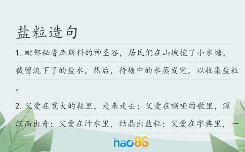 盐粒造句