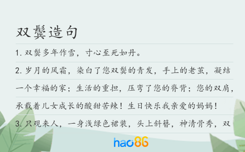 双鬓造句