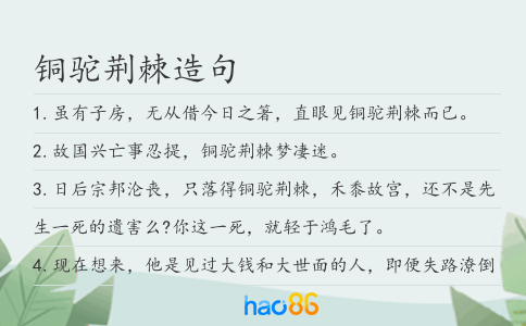 铜驼荆棘造句