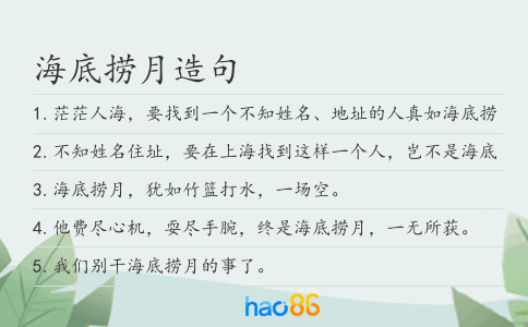 海底捞月造句