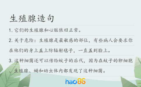 生殖腺造句