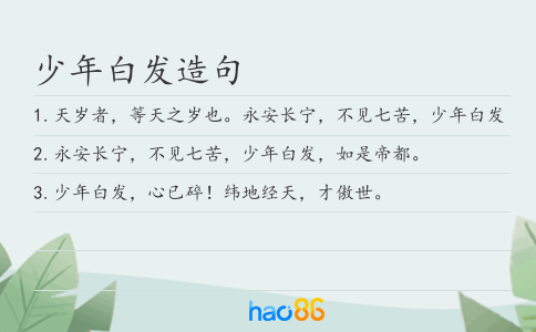 少年白发造句