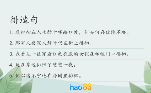 徘造句