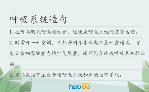 呼吸系统造句