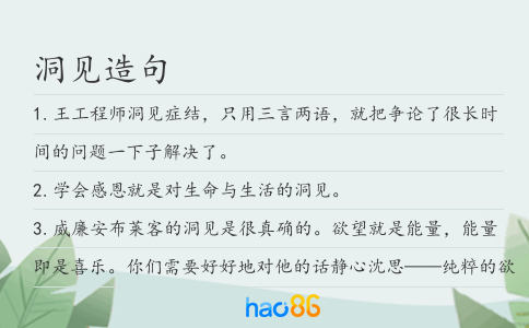 洞见造句