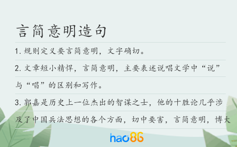 言简意明造句