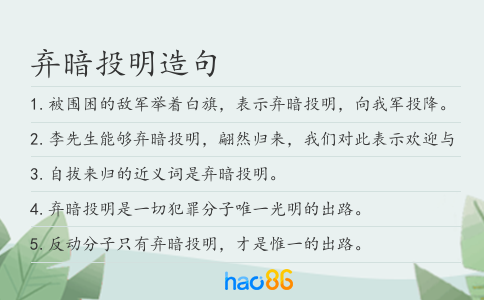 弃暗投明造句