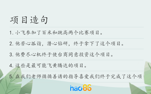 项目造句