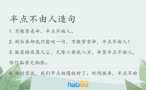 半点不由人造句