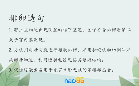 排卵造句