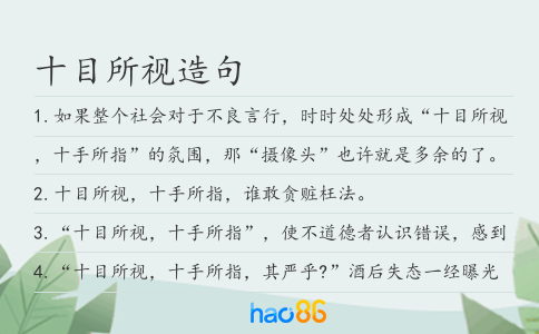 十目所视造句