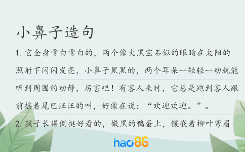 小鼻子造句