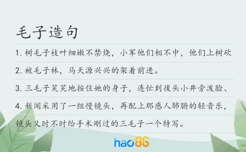 毛子造句