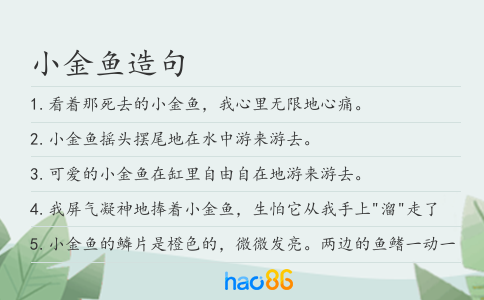小金鱼造句