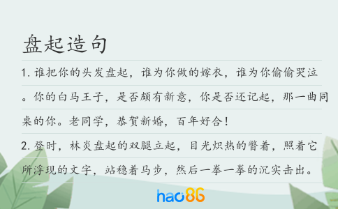 盘起造句