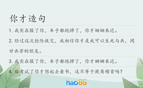 你才造句
