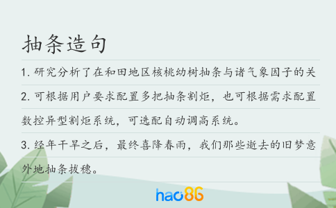 抽条造句