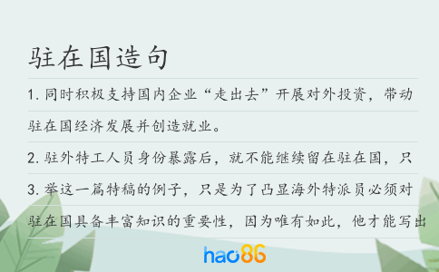 驻在国造句
