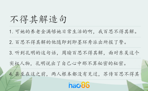 不得其解造句