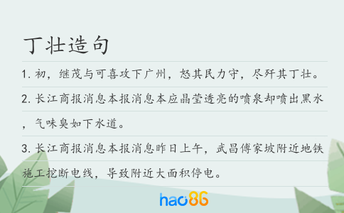 丁壮造句
