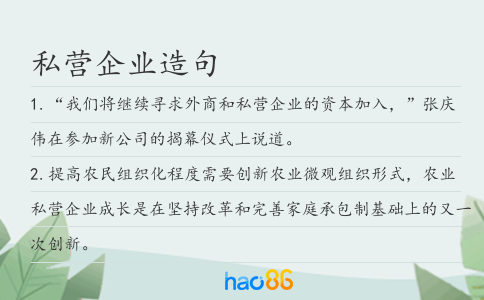 私营企业造句
