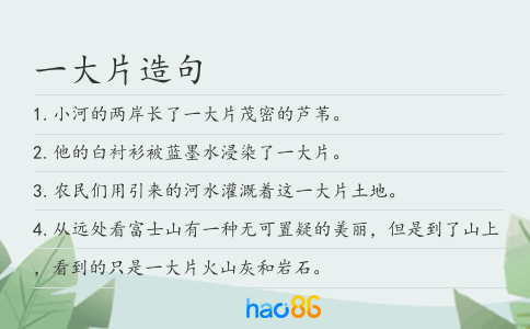 一大片造句