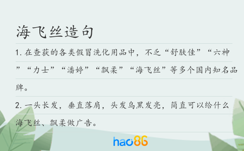 海飞丝造句