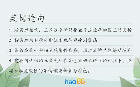 莱姆造句