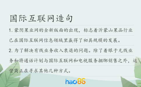 国际互联网造句
