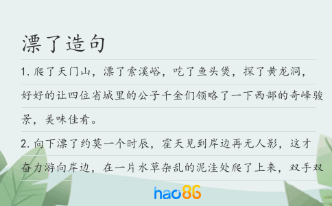 漂了造句