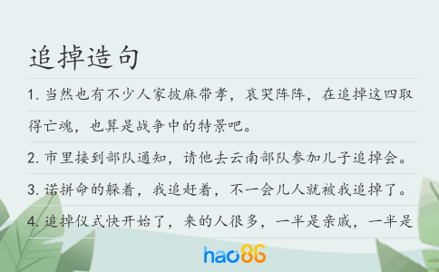 追掉造句